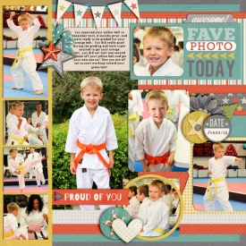 orangebelt700promotionright.jpg