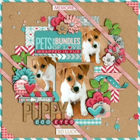 puppydogeyesweb700.jpg