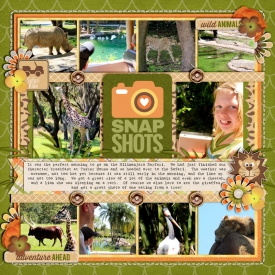 safari-lrightweb700.jpg