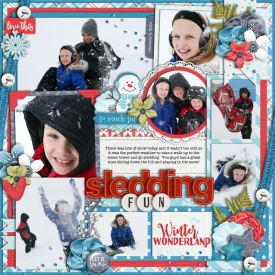 sledding-funweb700.jpg