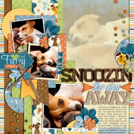 snoozin-the-day-away700web.jpg