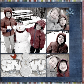 snow2010r.jpg