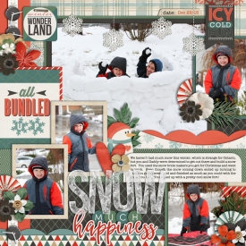 snowmuchhappiness700web.jpg