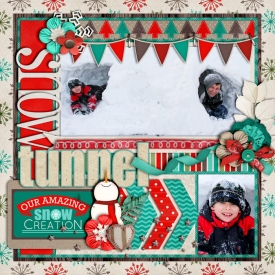 snowtunnelleftweb700.jpg