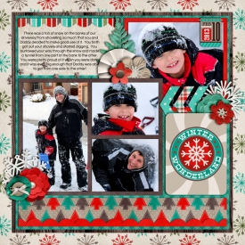 snowtunnelrightweb700.jpg