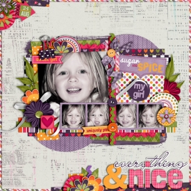 sugar-and-spiceweb1.jpg