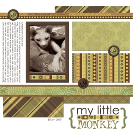 tferguson-my-little-monkey.jpg