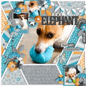 theelephantweb700.jpg