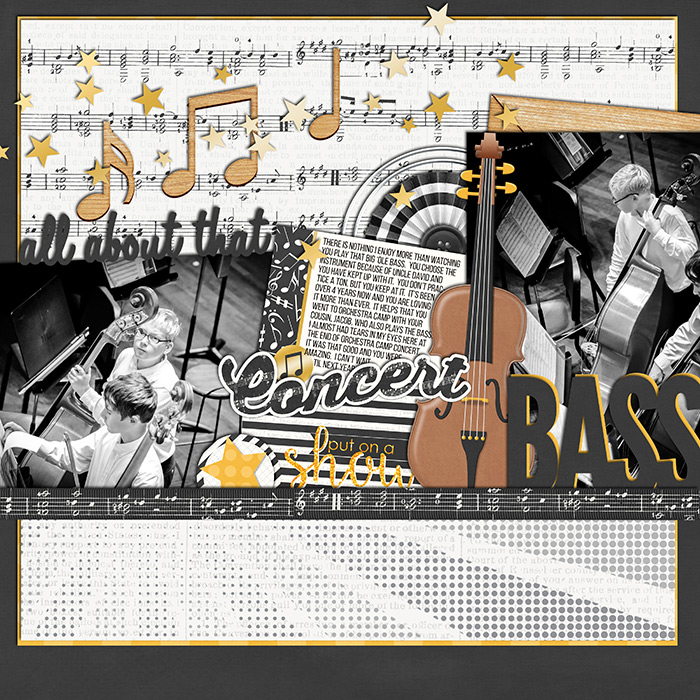 132_2015_bassconcert700w
