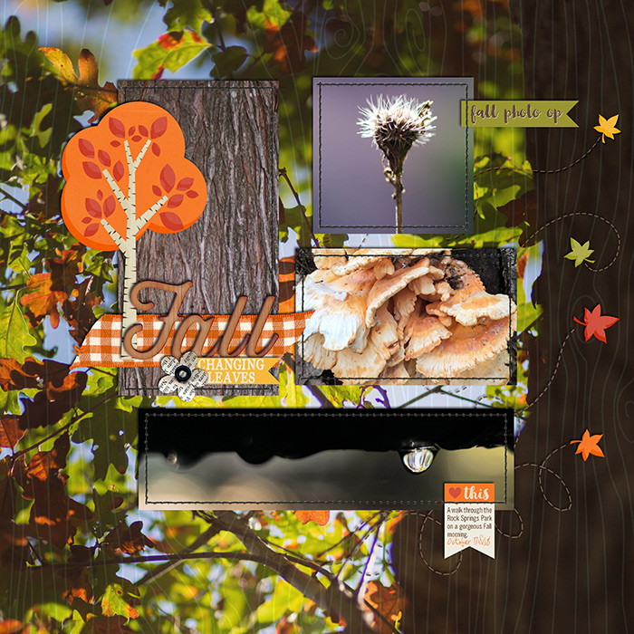 2014_week42c700w