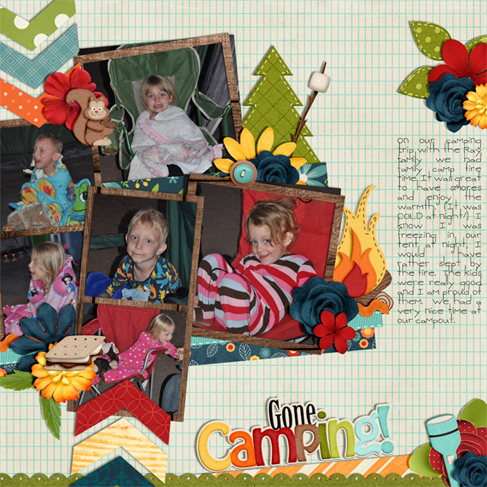 6-june-Camping_fire_2012