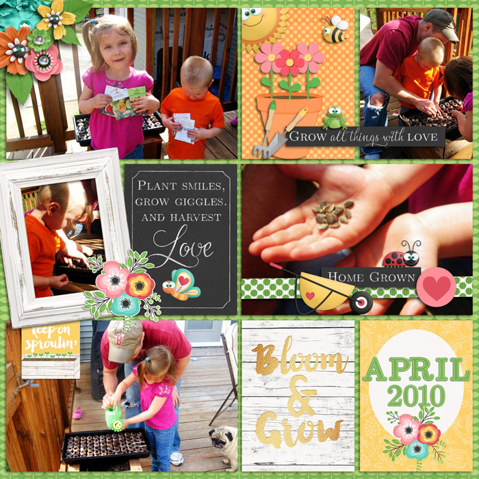 Bloom-And-Grow7