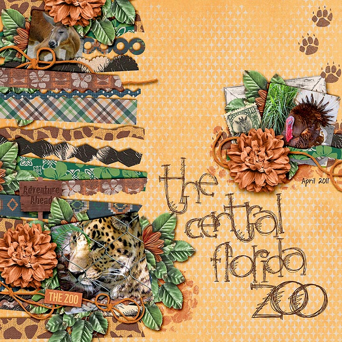 CFLZoo700