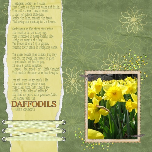 Daffodils