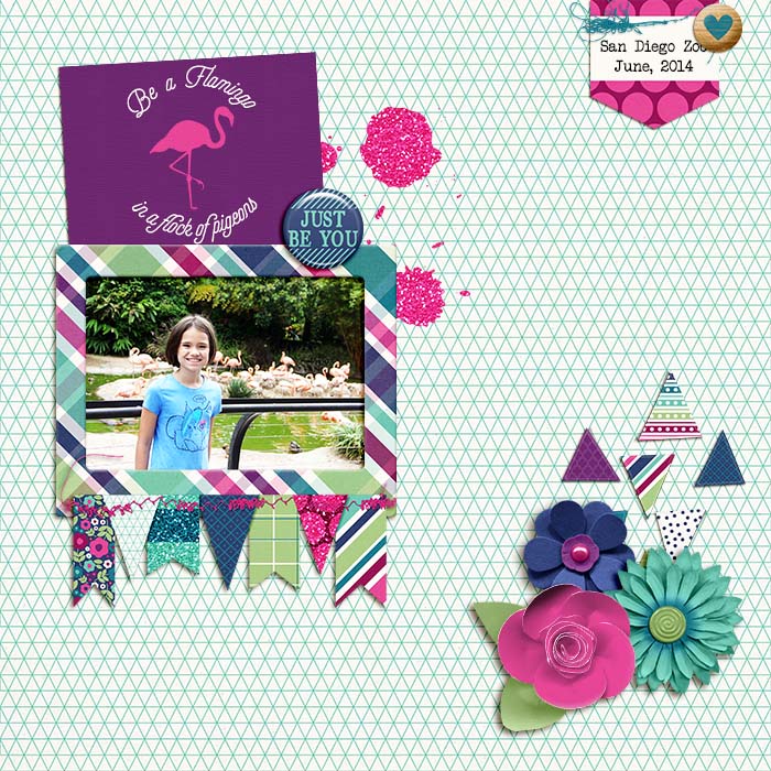 Flamingo_jenevang_web