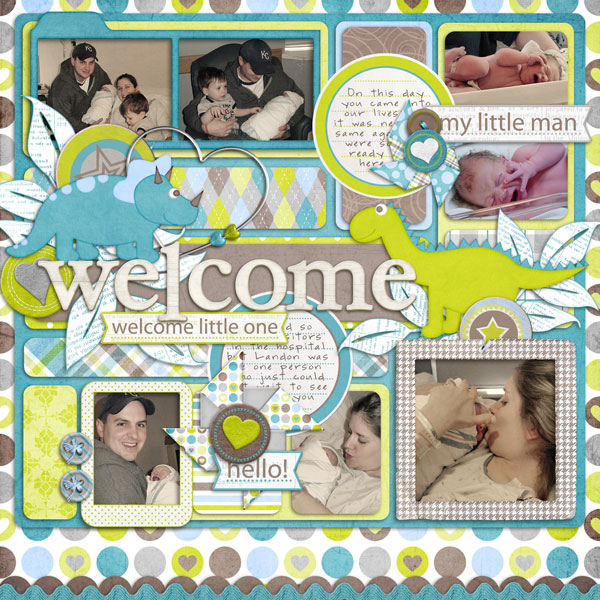 LedgerWelcome