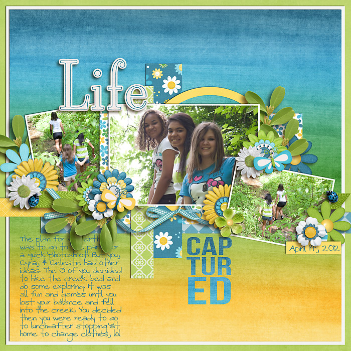 LifeCapturedWeb