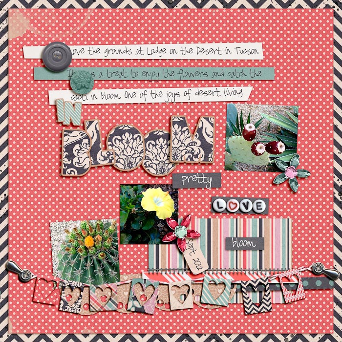 Lisa_TRD_AJ_XOXO_Love_blooming_cacti