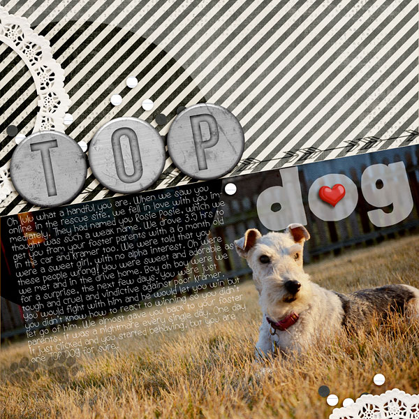 TOPdog-72ppi