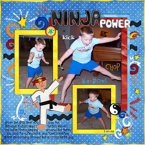 TR-Ninja-Power