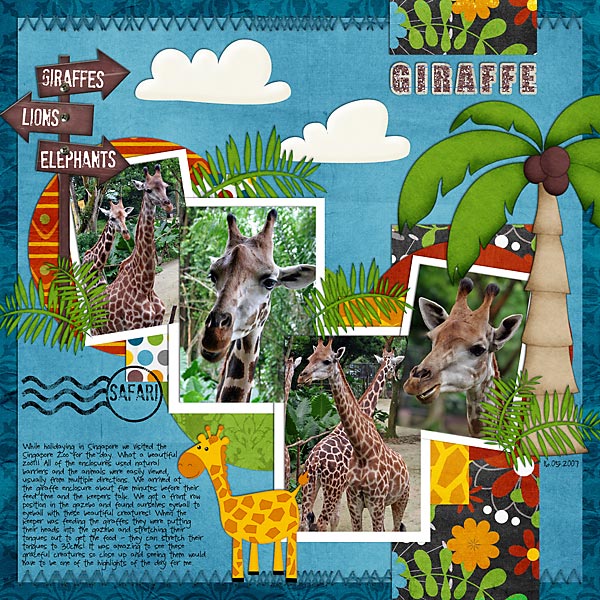 TR-Safari-Party