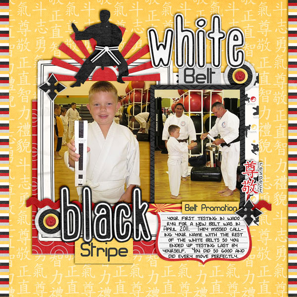 TR-White-Belt_-Black-Stripe