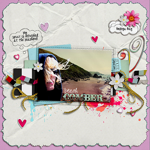 beach-COMBER