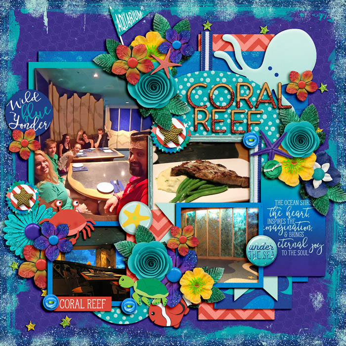 coral_reef_ssd