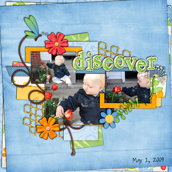 discover5
