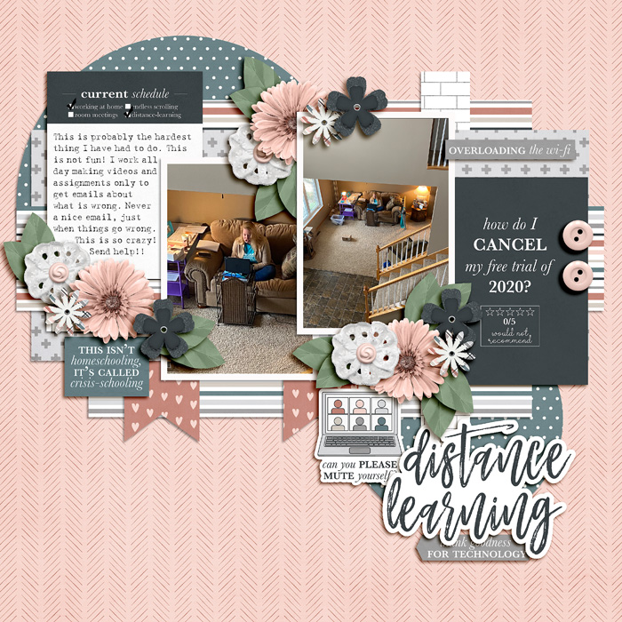 distance_learning