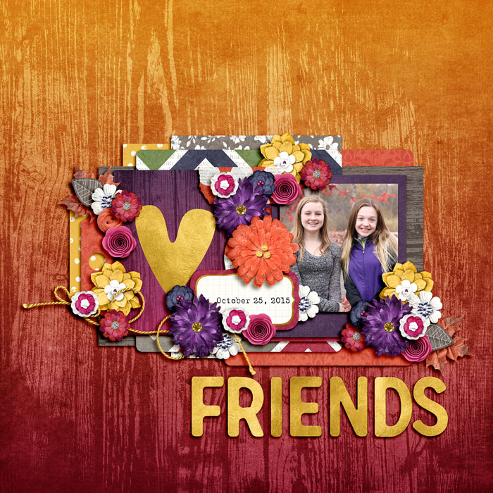 friends56