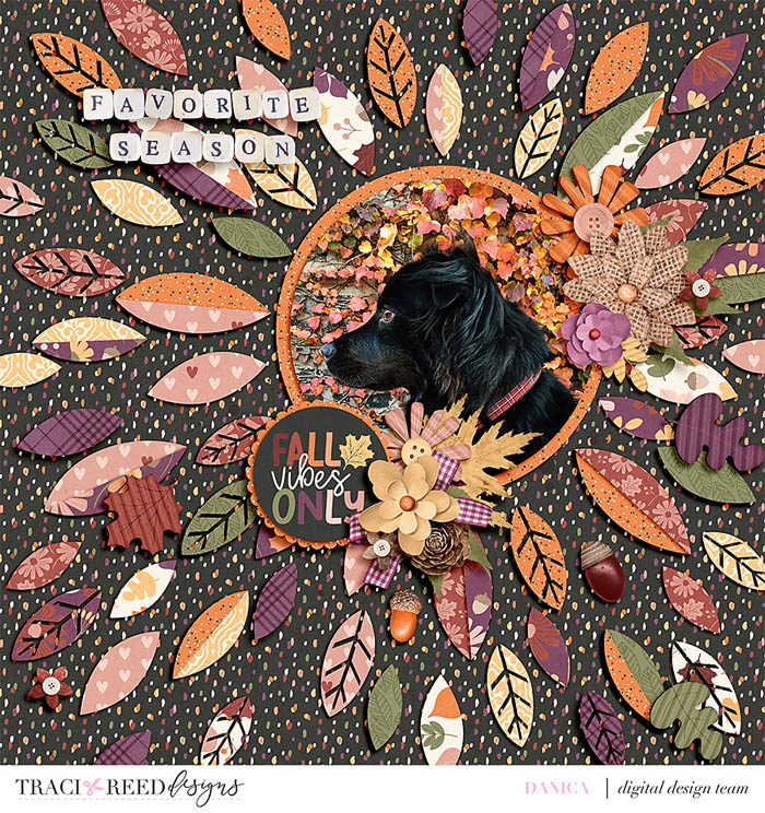gratitude_banner_700
