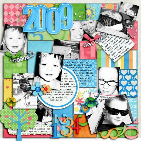 2009 in review