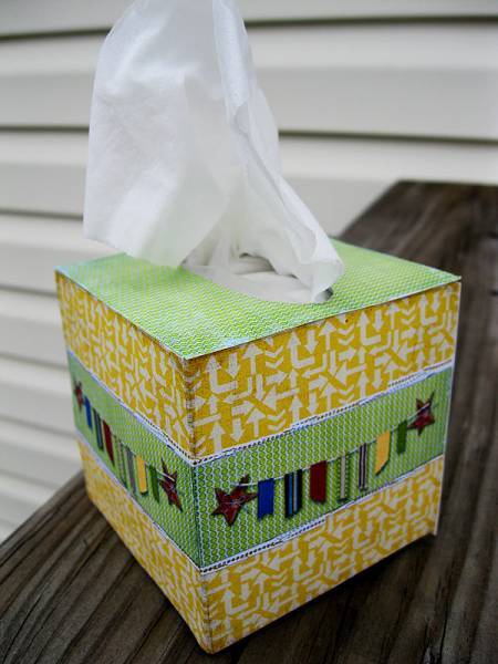 Hybrid Tissue Box Cover