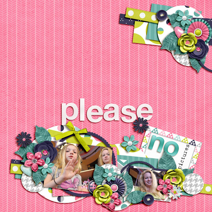 please_no_pictures_ssd