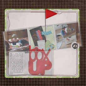 186_2011_boxup_600w.jpg