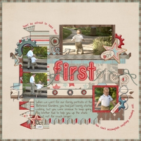 1st-step_edited-1.jpg