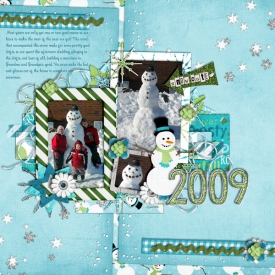 2009-snow.jpg
