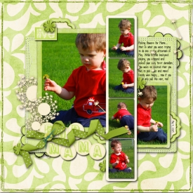 2009_05_04-flowers-for-mama.jpg