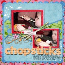 2010_01_23-chopsticks.jpg