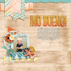2013-08-31-No-Bueno_.jpg