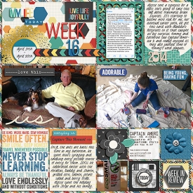 2014-Week-16_Lw.jpg