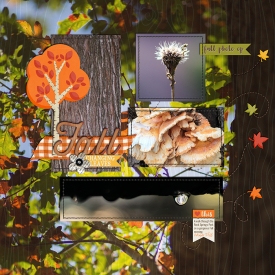 2014_week42c700w.jpg