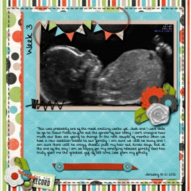 365_EED_SP_MarchTemplates2011_week3leftsm.jpg