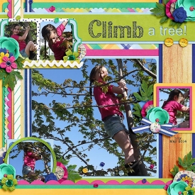 Climb-a-Tree-to-upload.jpg