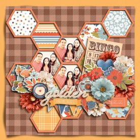 DONNAESPIRITU-TRD-CiderSeason-IG-HOP-layout-SSD.jpg