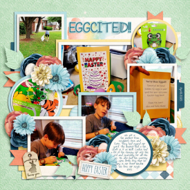 EGGEDweb.jpg