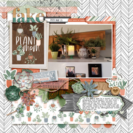 FakePlantMom_Cheryl_HomeDecorations_2020-03-25.jpg