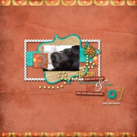 HAWTblog_april15pet.jpg