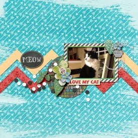 Love-My-Cat.jpg